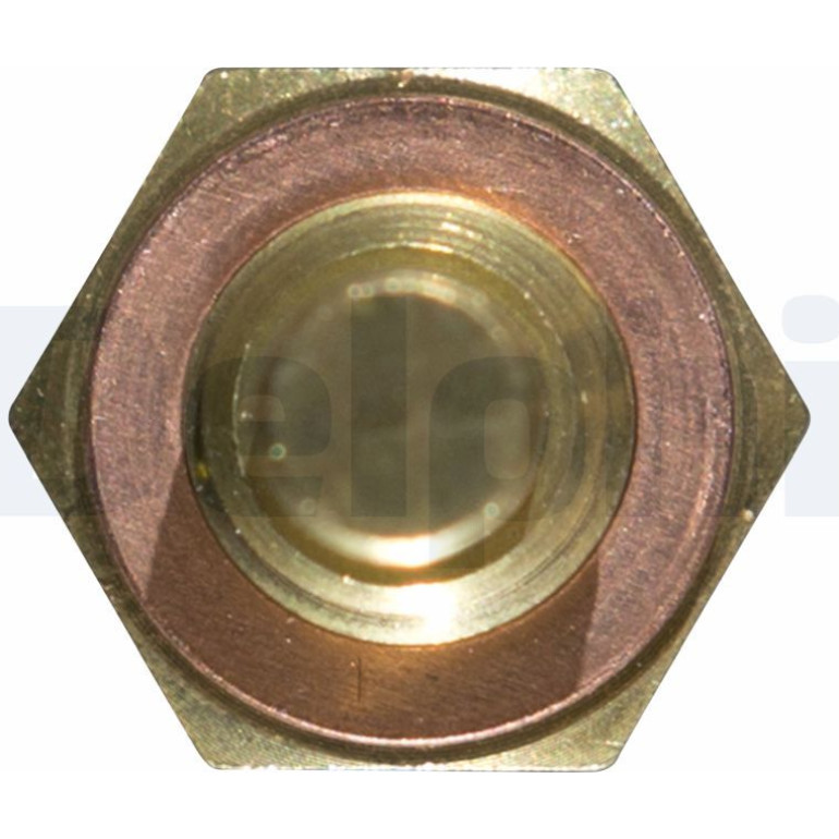 DELPHI Temperatursensor TS10250