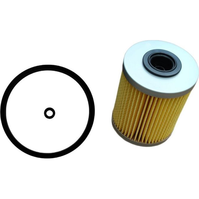 CHAMPION Kraftstofffilter CFF101561 CHAMPION Kraftstofffilter CFF101561