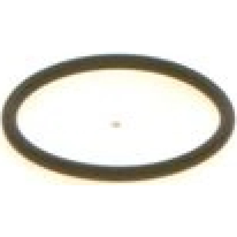 O-Ring 1410257042 O-Ring 1410257042