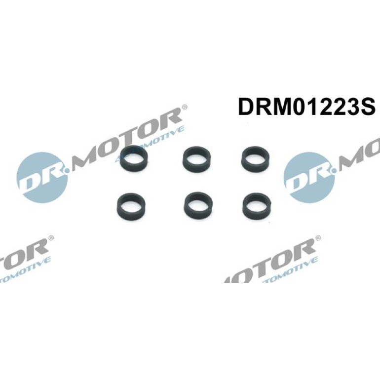 DR.MOTOR Dichtring, Sensorhalter DRM01223S DR.MOTOR Dichtring, Sensorhalter DRM01223S