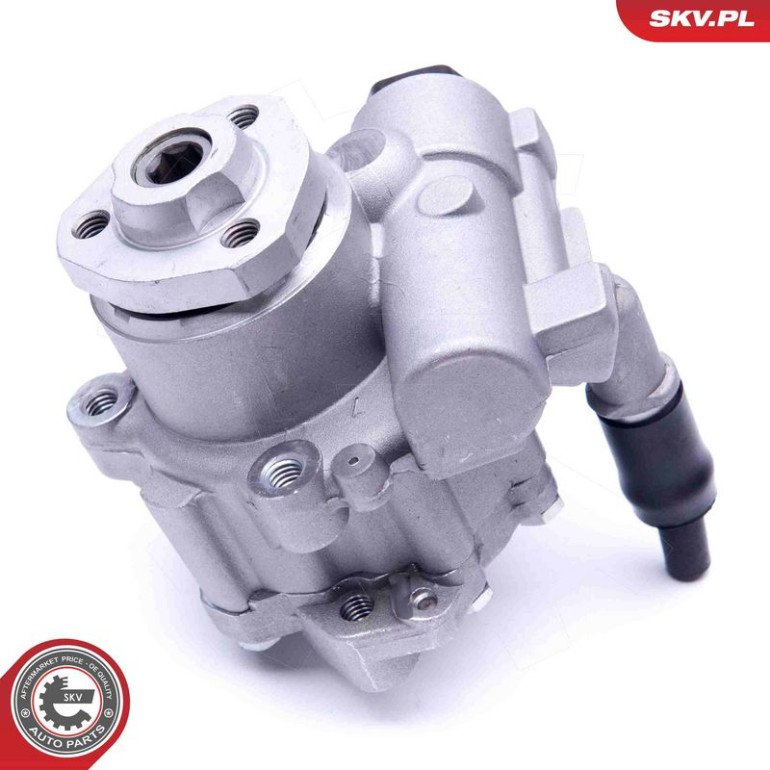 SKV GERMANY Hydraulikpumpe 10SKV256 SKV GERMANY Hydraulikpumpe 10SKV256