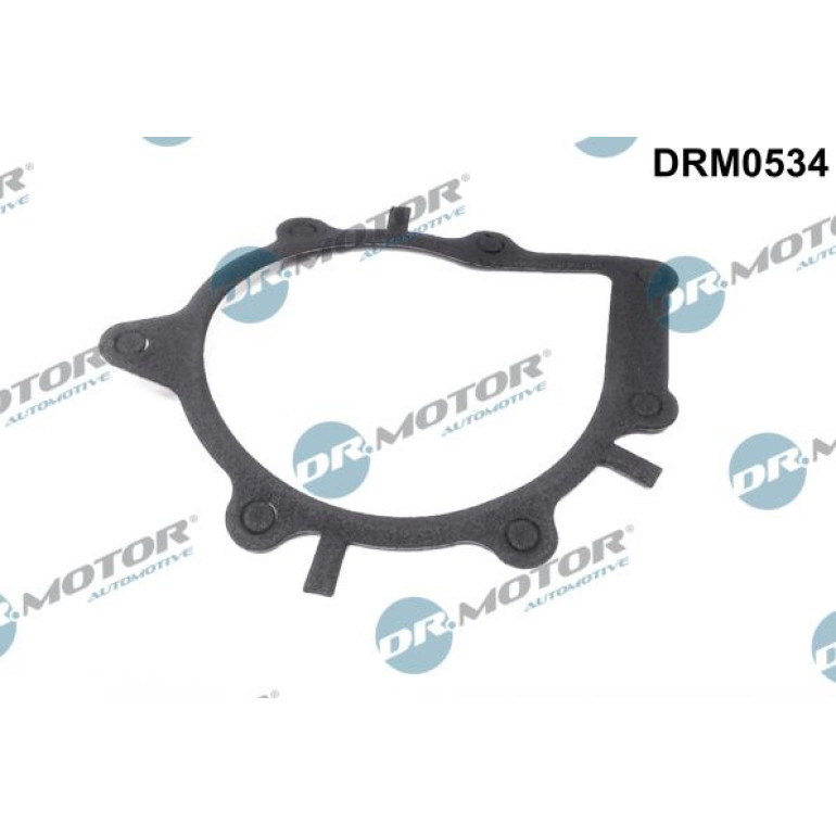 Dichtung, Wasserpumpe DRM0534
