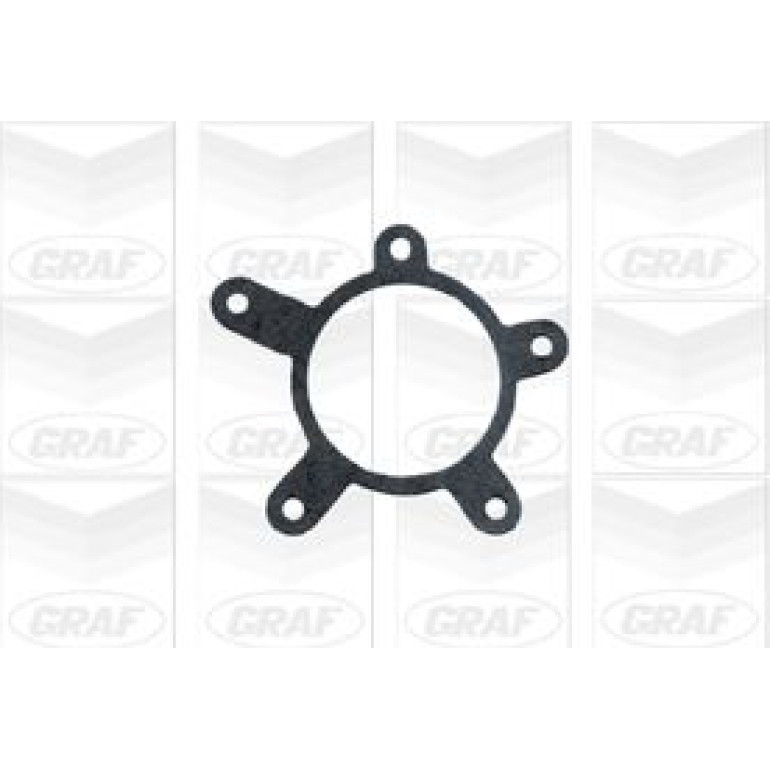 GRAF Wasserpumpe PA036 GRAF Wasserpumpe PA036
