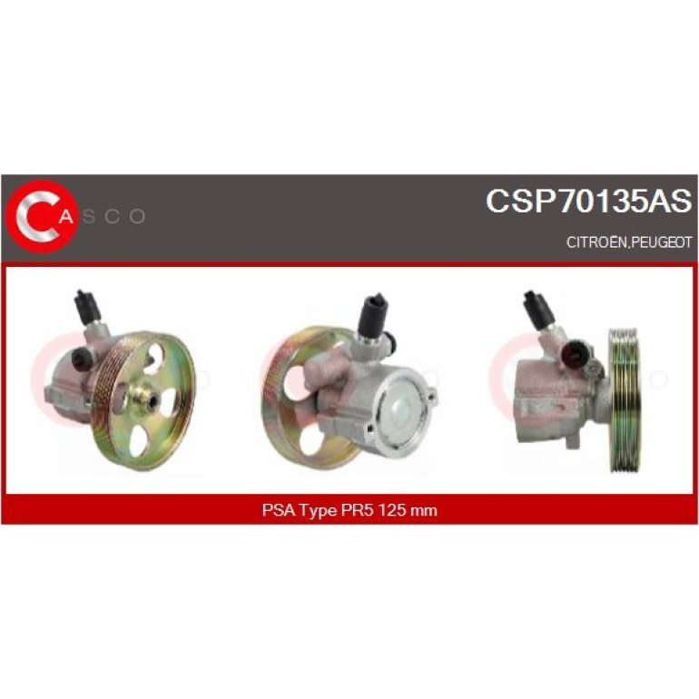 CASCO Hydraulikpumpe CSP70135AS