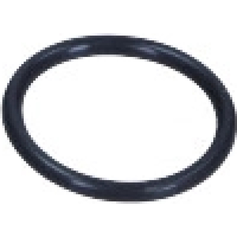 Dichtring 18x22x2mm FPM 40-76041-20 Dichtring 18x22x2mm FPM 40-76041-20