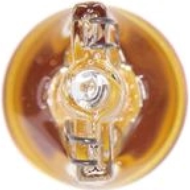 WY5W 12V 5W PURE LIGHT 1987302241 WY5W 12V 5W PURE LIGHT 1987302241