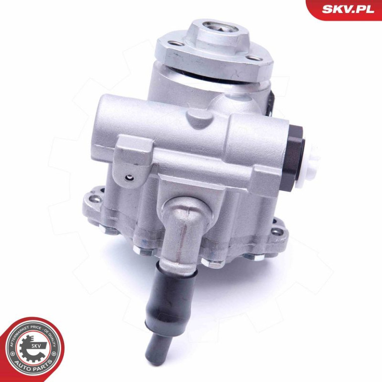 SKV GERMANY Hydraulikpumpe 10SKV256 SKV GERMANY Hydraulikpumpe 10SKV256