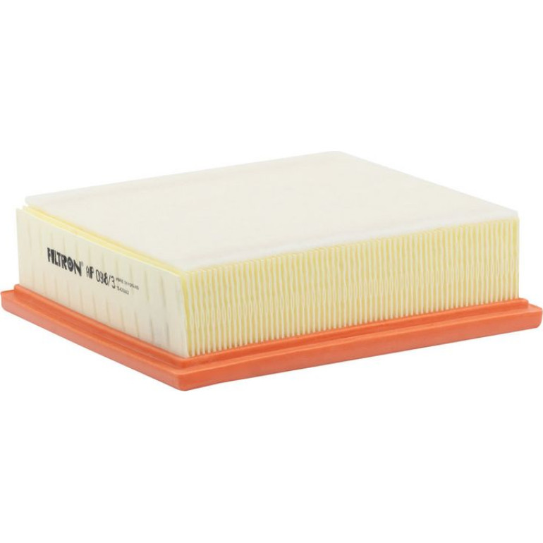 FILTRON Luftfilter AP 098/3