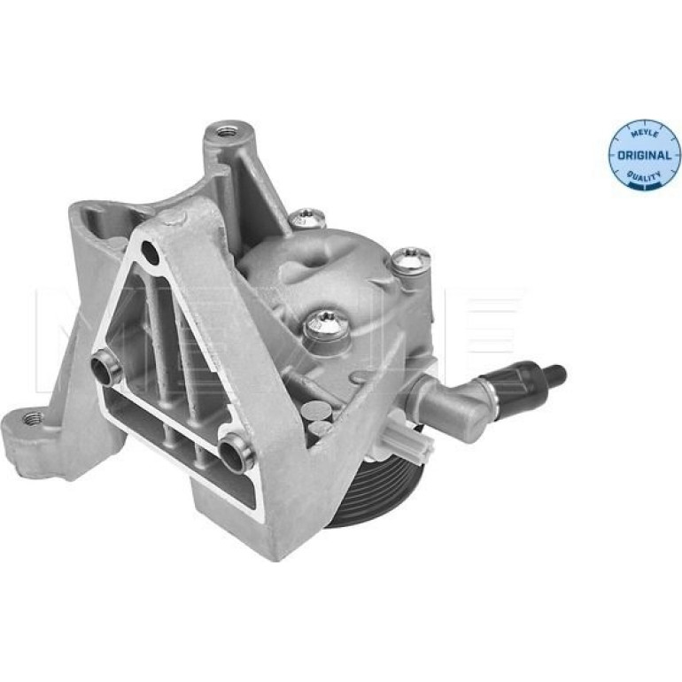Servopumpe Fiat Ducato 2.3 Multijet 06 214 631 0000 Servopumpe Fiat Ducato 2.3 Multijet 06 214 631 0000
