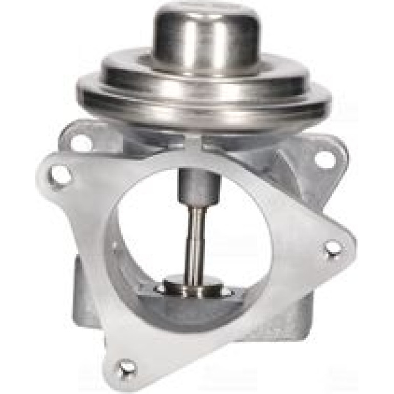 NISSENS Agr-Ventil 98173 NISSENS Agr-Ventil 98173