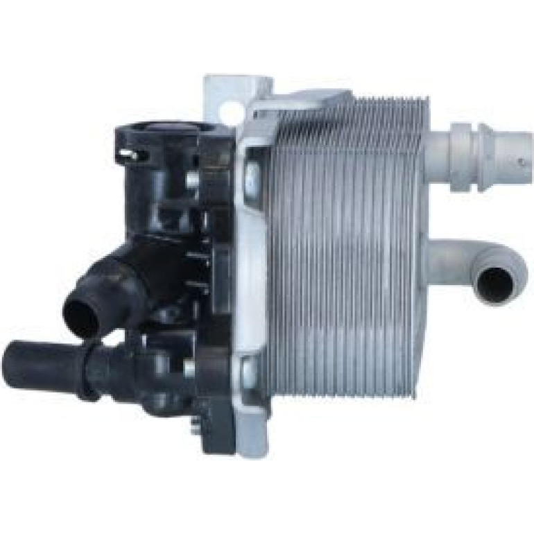 Ölkühler, Motor“L 31857