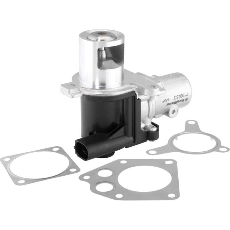 BorgWarner (Wahler) AGR-Ventil 710928D/1 BorgWarner (Wahler) AGR-Ventil 710928D/1