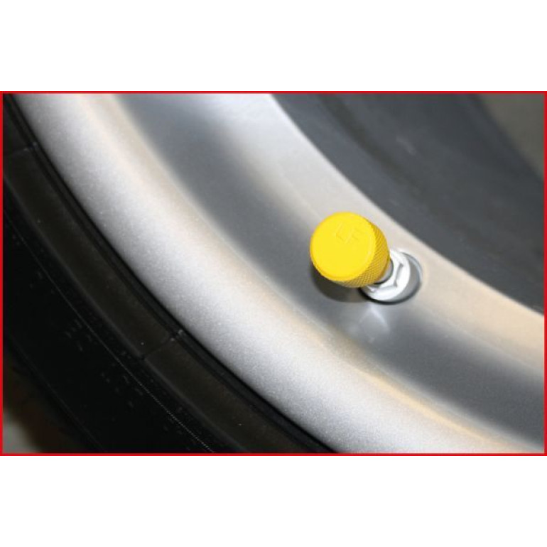 KS TOOLS RDKS/TPMS-Reifen-Entlüftungsset, 4-teilig 100.1185 KS TOOLS RDKS/TPMS-Reifen-Entlüftungsset, 4-teilig 100.1185