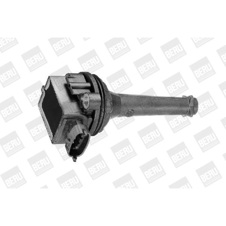 BorgWarner (BERU) Zündspule ZSE019 BorgWarner (BERU) Zündspule ZSE019