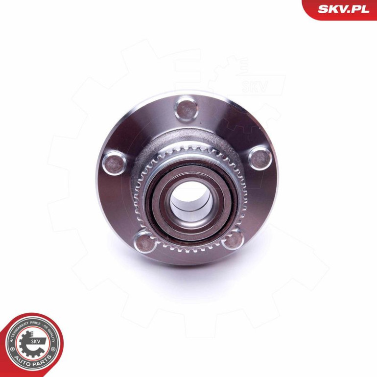 ESEN SKV Radlagersatz 29SKV219 ESEN SKV Radlagersatz 29SKV219