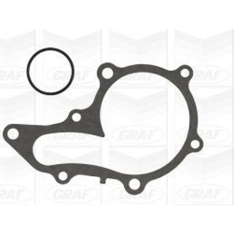 GRAF Wasserpumpe PA1005 GRAF Wasserpumpe PA1005