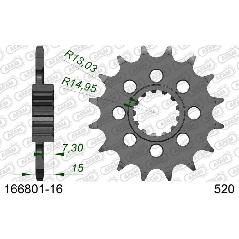 AFAM Ritzel 16 Zähne 166801-16 AFAM Ritzel 16 Zähne 166801-16