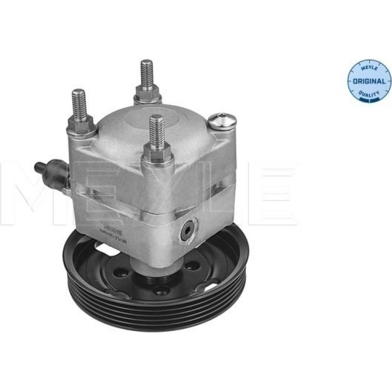 Servopumpe S80/V70/Xc70 06 5146310021 Servopumpe S80/V70/Xc70 06 5146310021