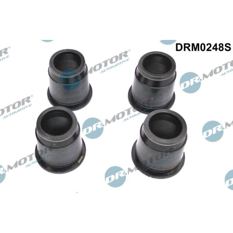 DR.MOTOR Dichtungssatz Einspritzdüse DRM0248S