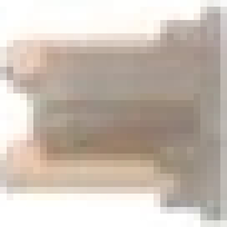 Sicherung 1987529041 Sicherung 1987529041