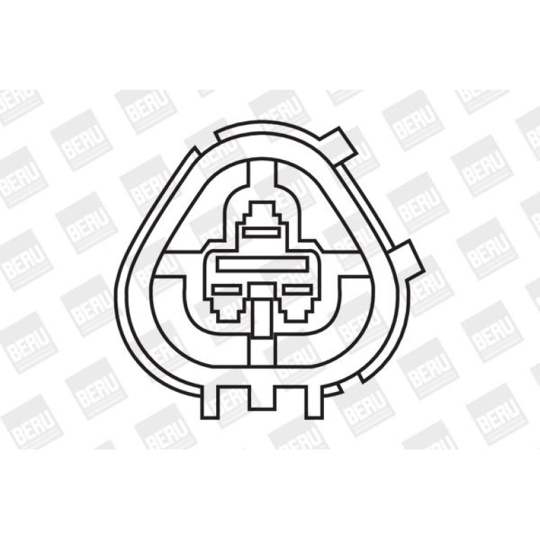BorgWarner (BERU) Zündspule ZS266 BorgWarner (BERU) Zündspule ZS266