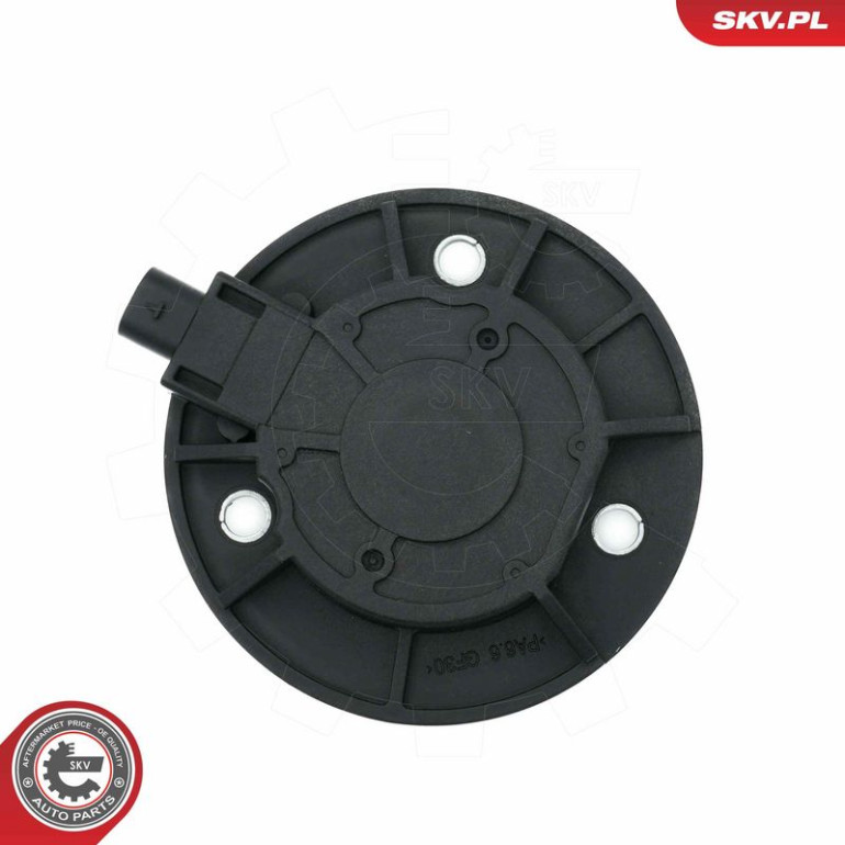 ESEN SKV Zentralmagnet, Nockenwellenverstellung 39SKV900 ESEN SKV Zentralmagnet, Nockenwellenverstellung 39SKV900