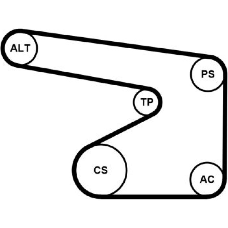 Continental CTAM Timing-Kit 5PK1355WP2