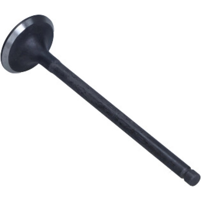 Auslassventil R6569/RNT Auslassventil R6569/RNT