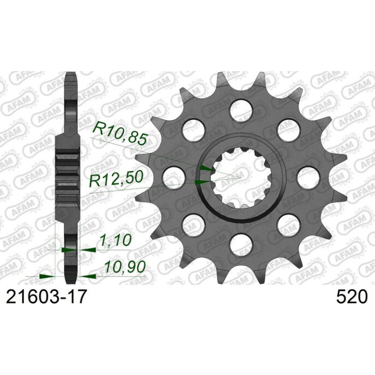 AFAM Ritzel 17 Zähne 21603-17 AFAM Ritzel 17 Zähne 21603-17