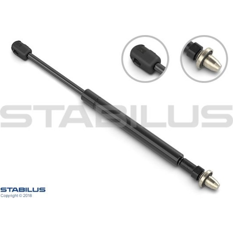 Gasfeder HS L 313 250N 15621 Gasfeder HS L 313 250N 15621