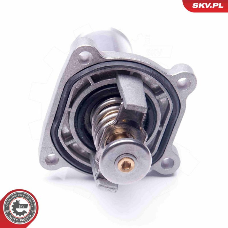 SKV GERMANY Thermostat 20SKV081
