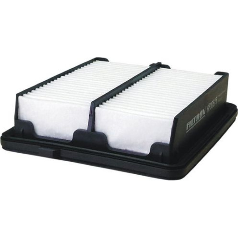 FILTRON Luftfilter AP 106/5 FILTRON Luftfilter AP 106/5
