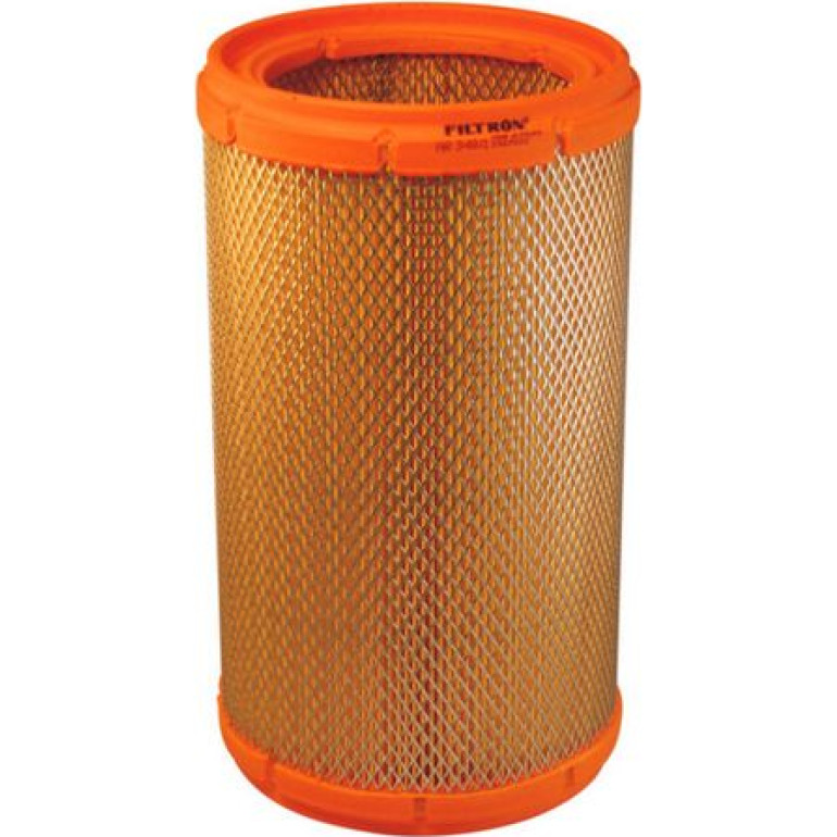FILTRON Luftfilter AR 348/1