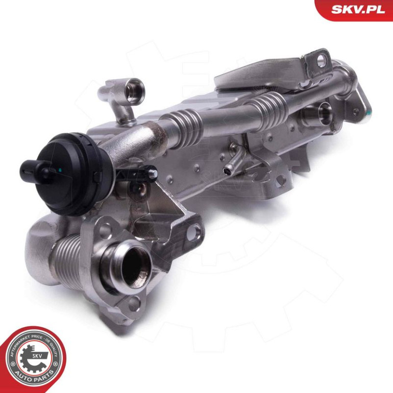 ESEN SKV AGR-Ventil 14SKV239
