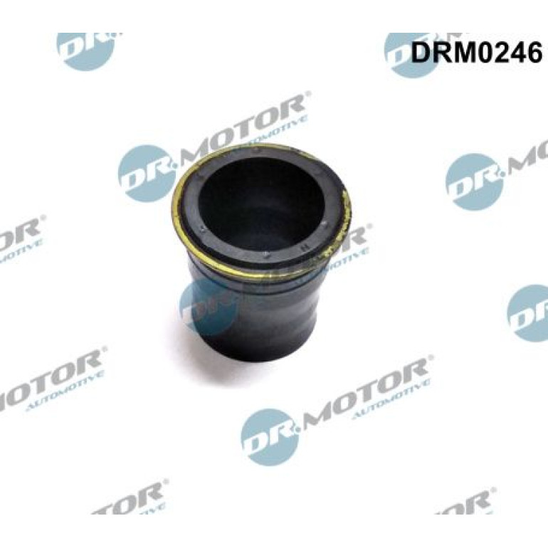 DR.MOTOR Dichtungssatz Einspritzdüse DRM0246