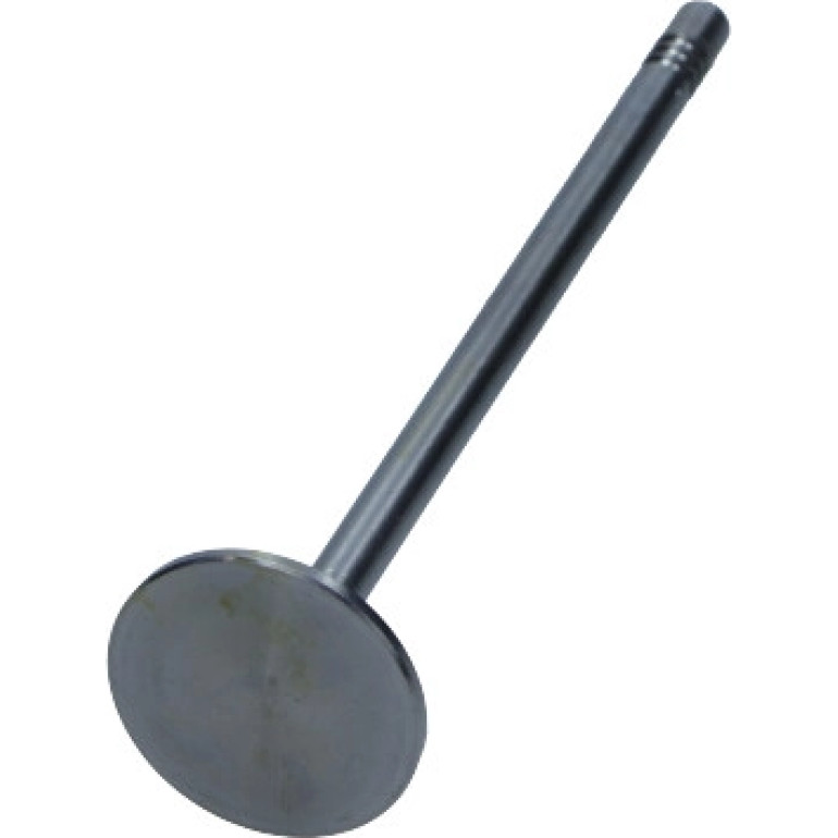 Auslassventil Fiat 2.3 16V Jtd PFIA162-A-0-N Auslassventil Fiat 2.3 16V Jtd PFIA162-A-0-N