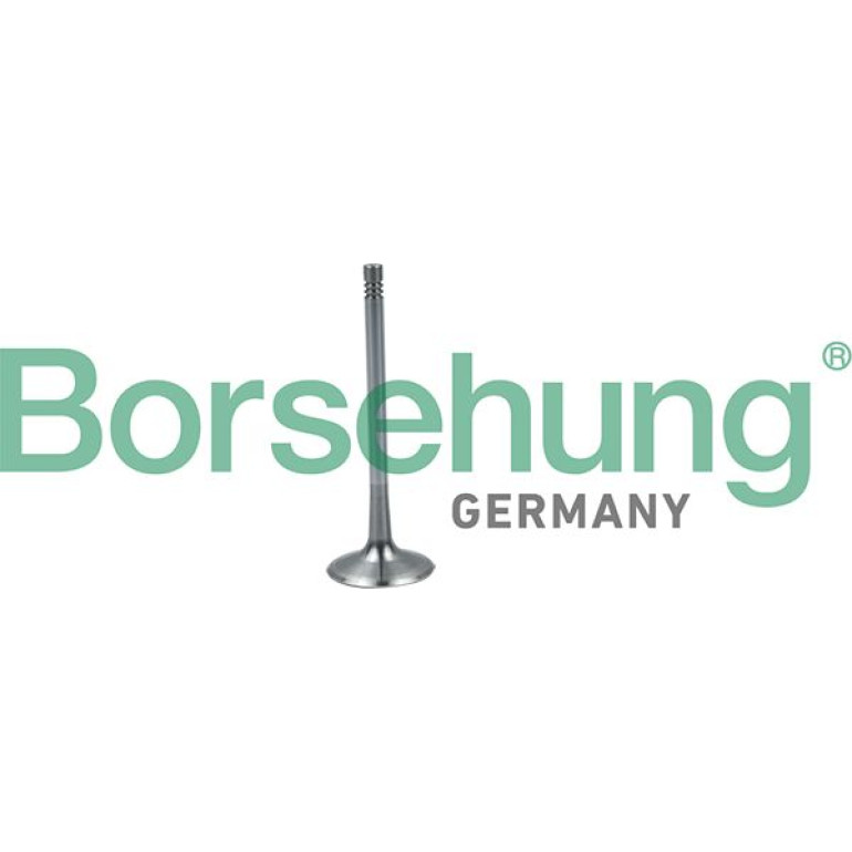 BORSEHUNG Einlaßventil B19026 BORSEHUNG Einlaßventil B19026