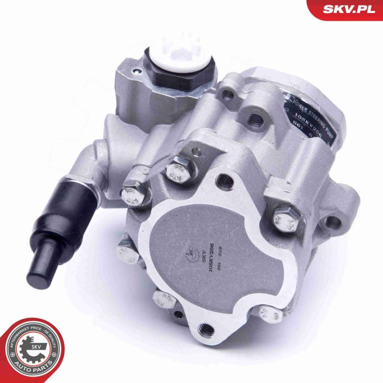 SKV GERMANY Hydraulikpumpe 10SKV256 SKV GERMANY Hydraulikpumpe 10SKV256