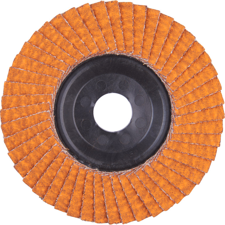 Fächerschleifscheibe 125mm 4932472231 Fächerschleifscheibe 125mm 4932472231