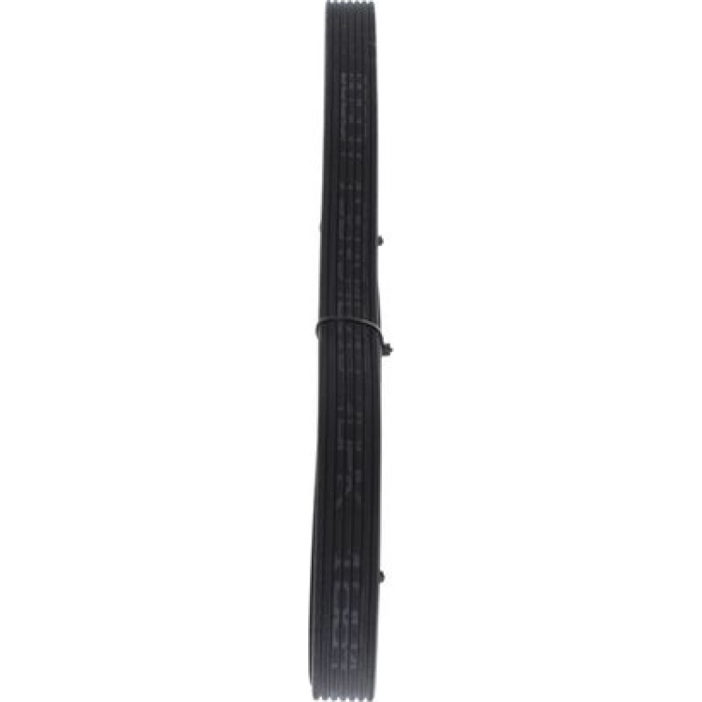 Keilrippenriemen 1987946213 Keilrippenriemen 1987946213