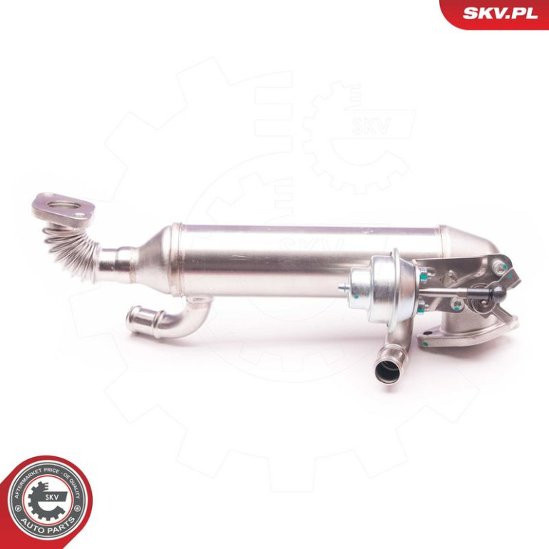 SKV GERMANY AGR-Ventil 14SKV119 SKV GERMANY AGR-Ventil 14SKV119
