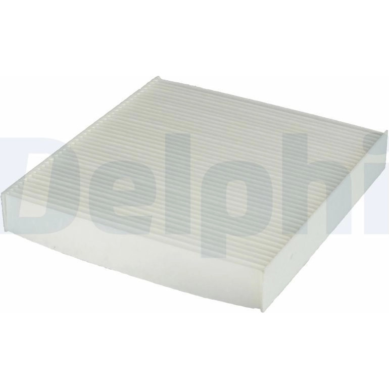 DELPHI Innenraumfilter TSP0325344 DELPHI Innenraumfilter TSP0325344