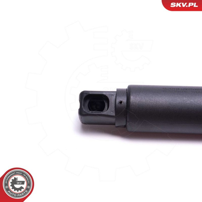 ESEN SKV Elektromotor, Heckklappe 52SKV948