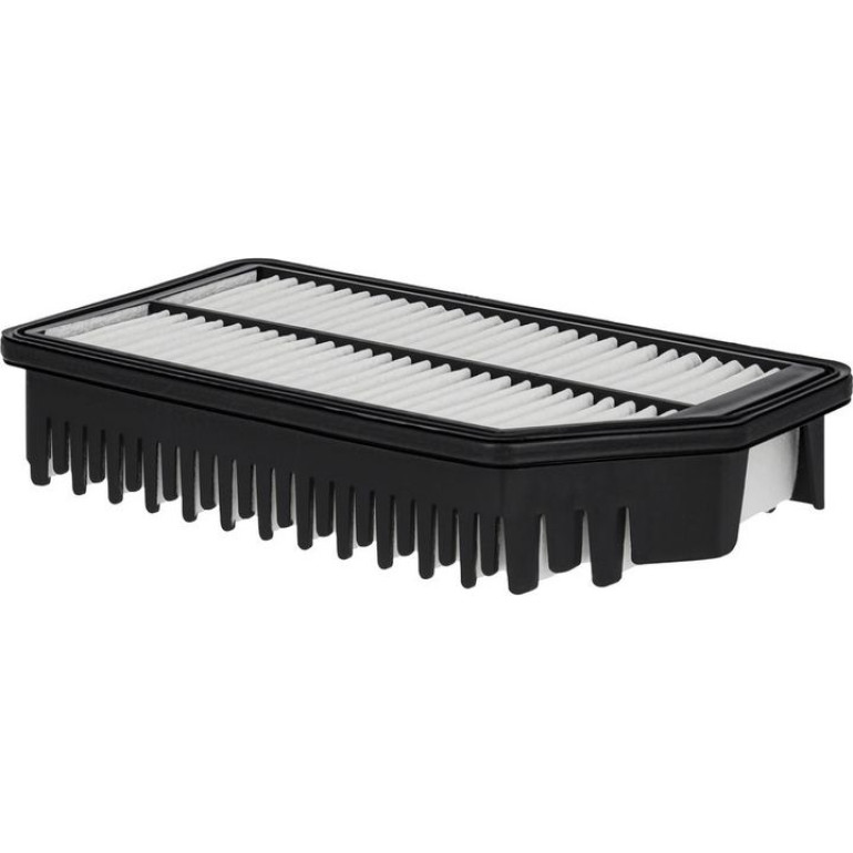 FILTRON Luftfilter AP 122/2
