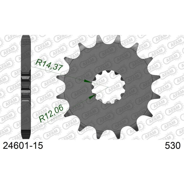 AFAM Ritzel 15 Zähne 24601-15 AFAM Ritzel 15 Zähne 24601-15