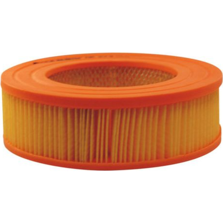 FILTRON Luftfilter AR 273