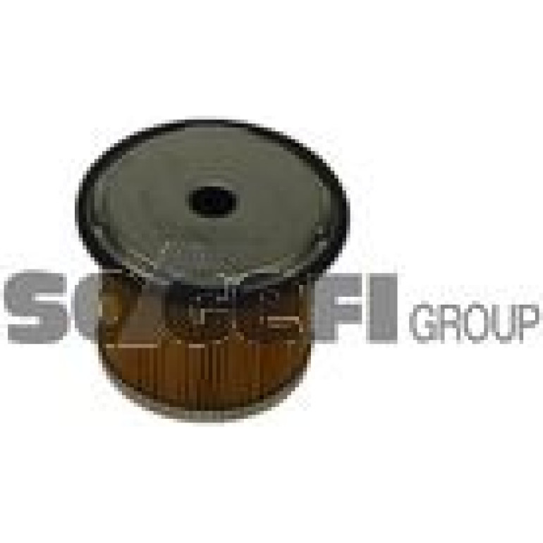 FRAM Kraftstofffilter C5563 FRAM Kraftstofffilter C5563