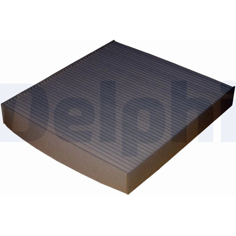 DELPHI Innenraumfilter TSP0325265 DELPHI Innenraumfilter TSP0325265