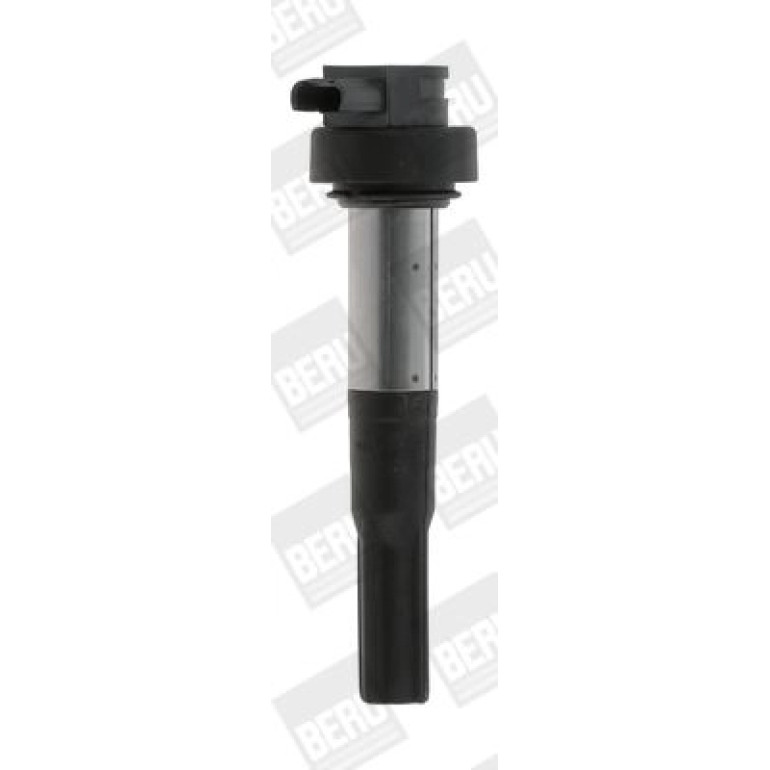 BorgWarner (BERU) Zündspule ZS386 BorgWarner (BERU) Zündspule ZS386