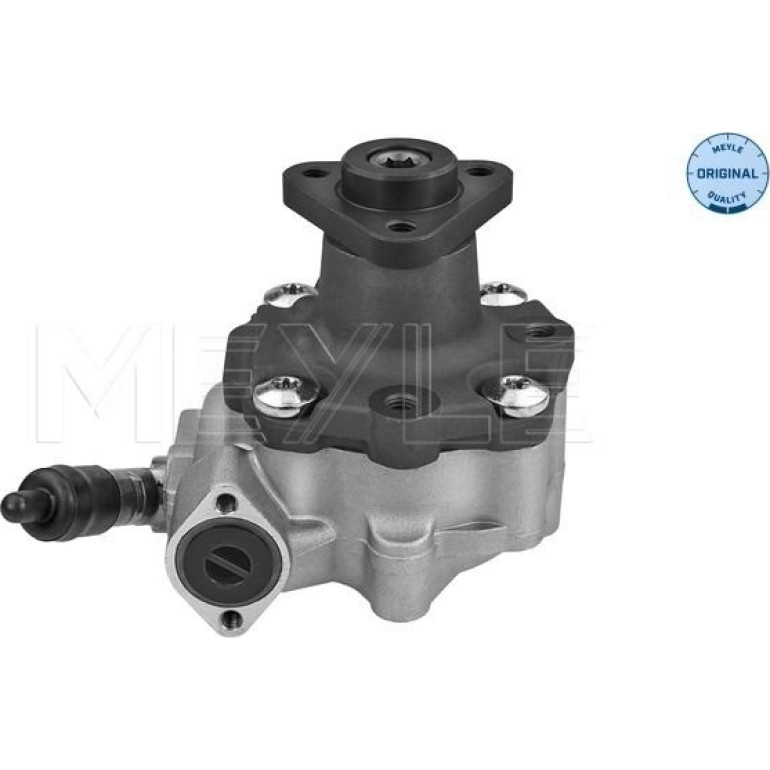 Servopumpe Audi A4/A5 2.0Tdi 08 114 631 0035 Servopumpe Audi A4/A5 2.0Tdi 08 114 631 0035